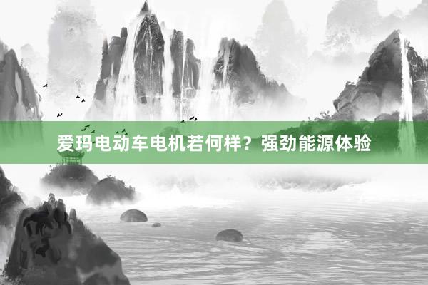 爱玛电动车电机若何样？强劲能源体验