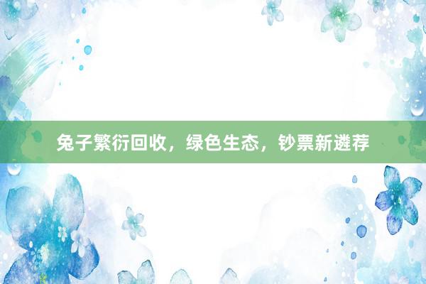 兔子繁衍回收，绿色生态，钞票新遴荐