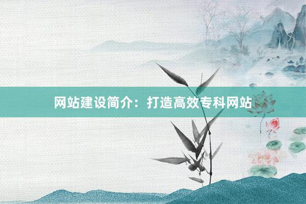 网站建设简介：打造高效专科网站